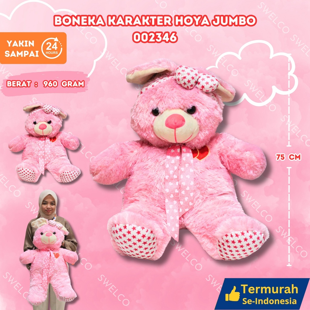 BONEKA KARAKTER HOYA JUMBO