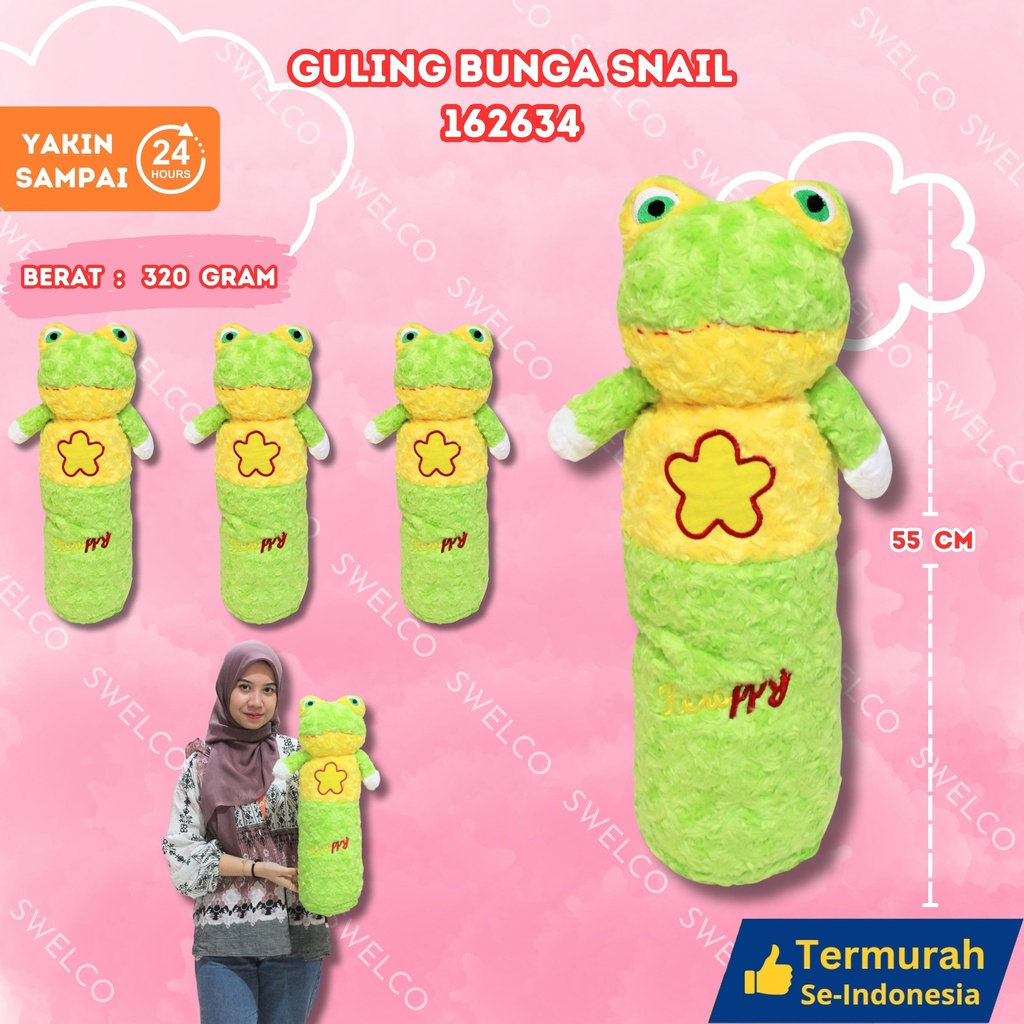 [162634] GULING BUNGA SNAIL