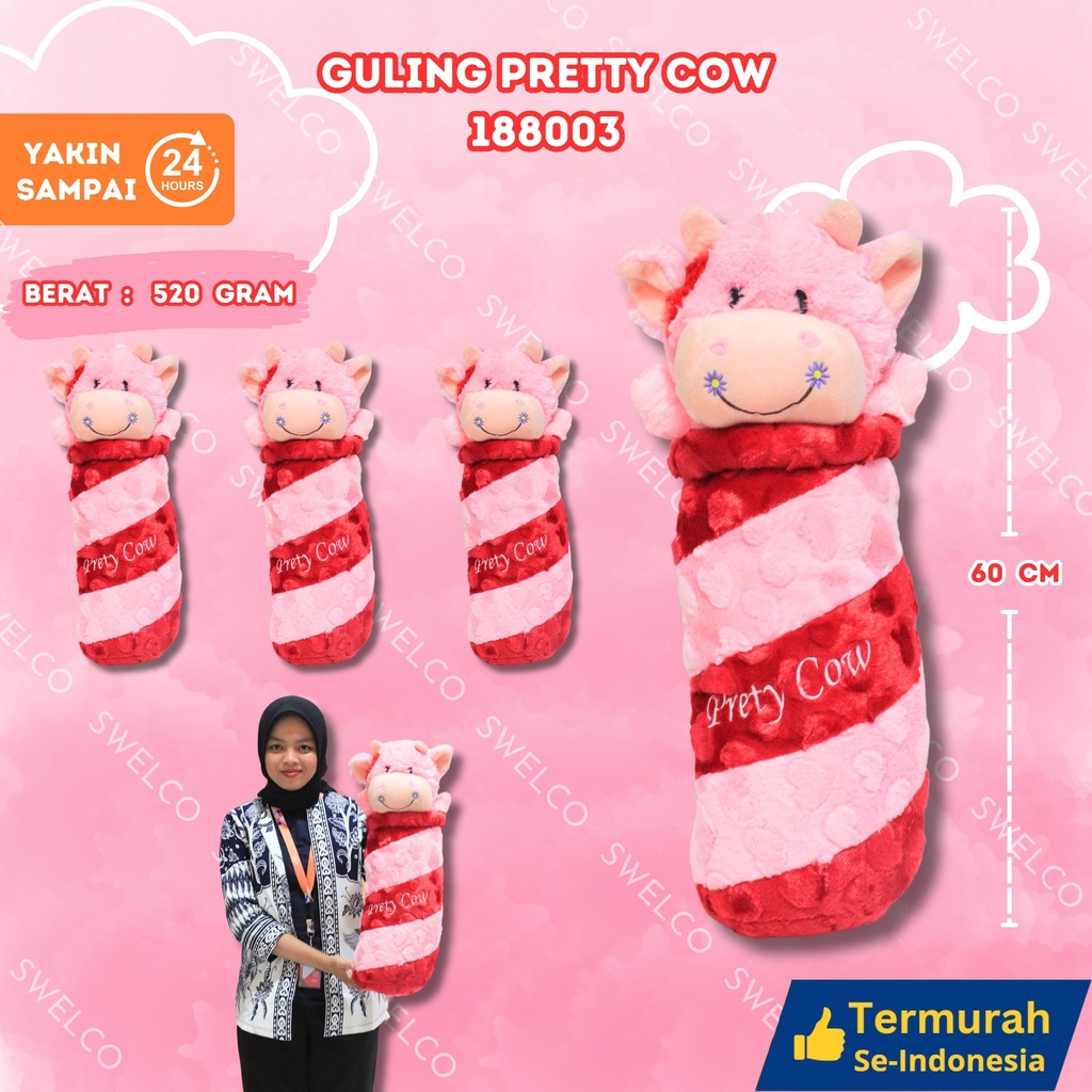 [188003] GULING PRETTY COW