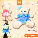 BONEKA BEAR WINTER JUMBO