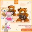 BONEKA BEAR BANDO LOVE PUR BERUANG LUCU