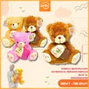 BONEKA BEAR PILLLOW KUMBANG XL BERUANG DENGAN BANTAL