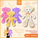BONEKA BEAR PITA ORGANDI BERUANG PITA 25H