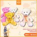 BONEKA BEAR PITA ORGANDI BERUANG PITA 25H
