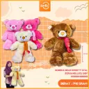 BONEKA BEAR SWEETY SYAL BERUANG LUCU 20H'