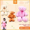 BONEKA TEDDY BEAR L BERUANG DENGAN PITA 45CM